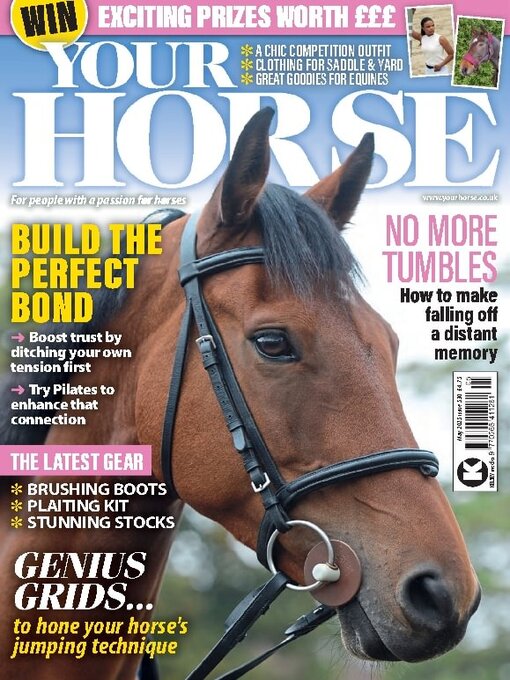Title details for Your Horse by Kelsey Publishing Ltd - Available